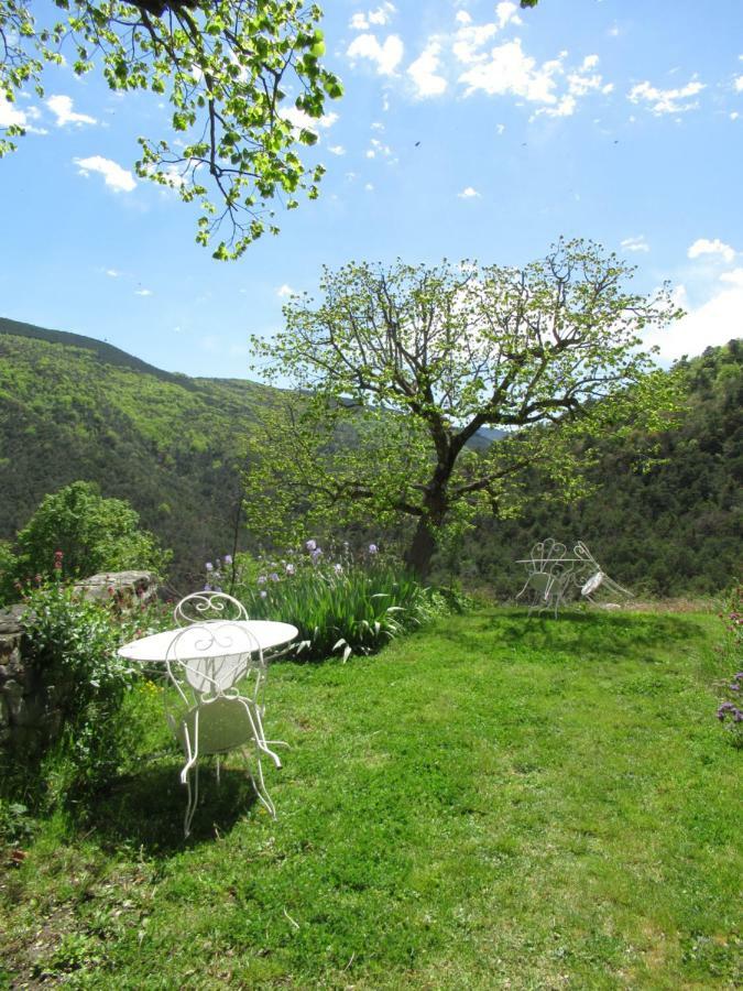 Bed and Breakfast La Ferme De La Condamine Saint-Andre-de-Rosans Экстерьер фото